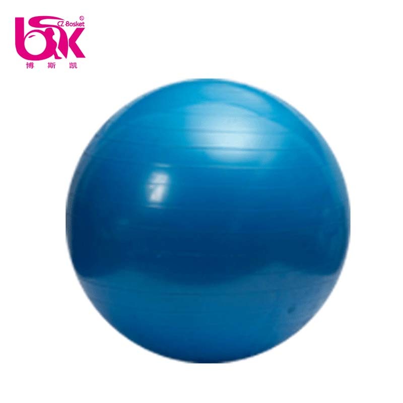 Hot new products yoga ball 65cm waterproof fitness yoga stress pilates ball