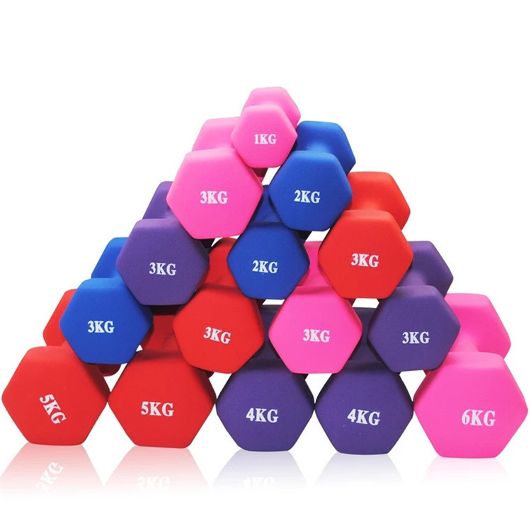Cheap Hot Sale  Exercise Dumbbell Colorful Vinyl Carton Strength Exercise Dumbells Set 100 Sets Accept OEM Multi-color