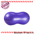 Bosket fitball exercise ball Supply for gym